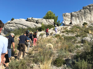 Lire la suite à propos de l’article Atelier sortie terrain dans les Alpilles